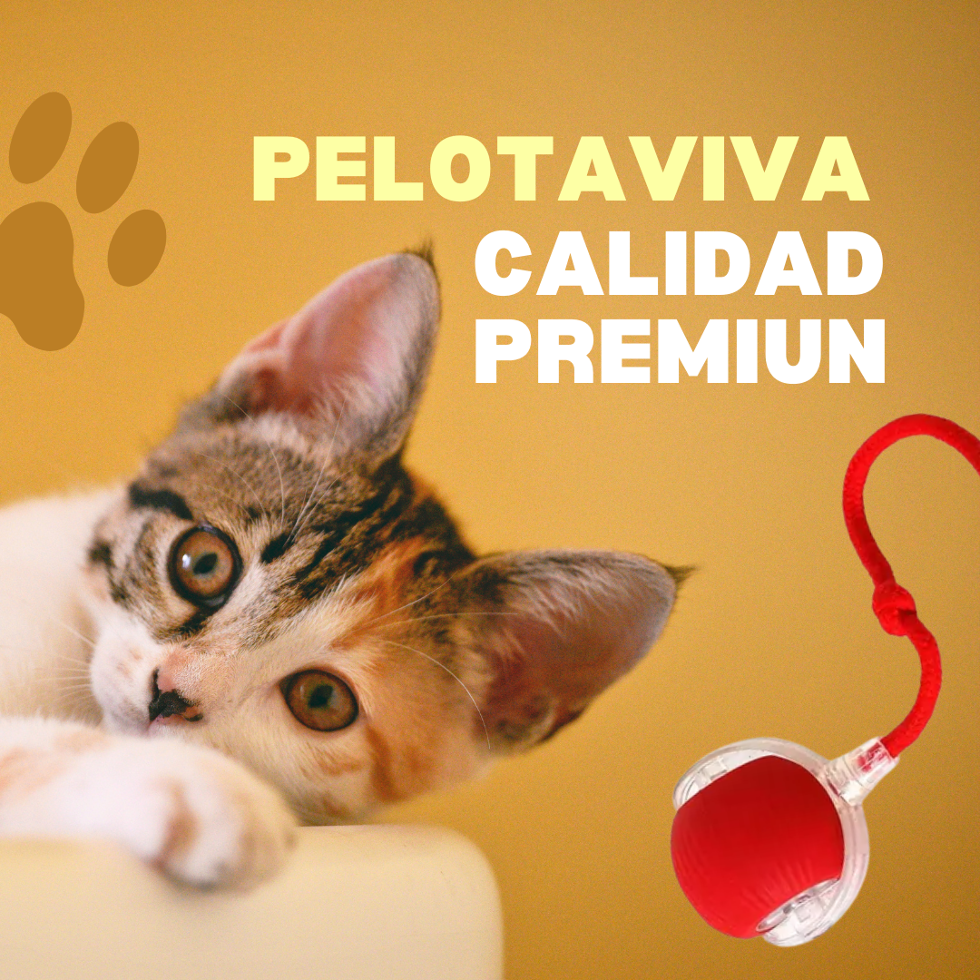 Pelotaviva UP-2 para gato, juguete interactivo que estimula y entretiene a tu gato